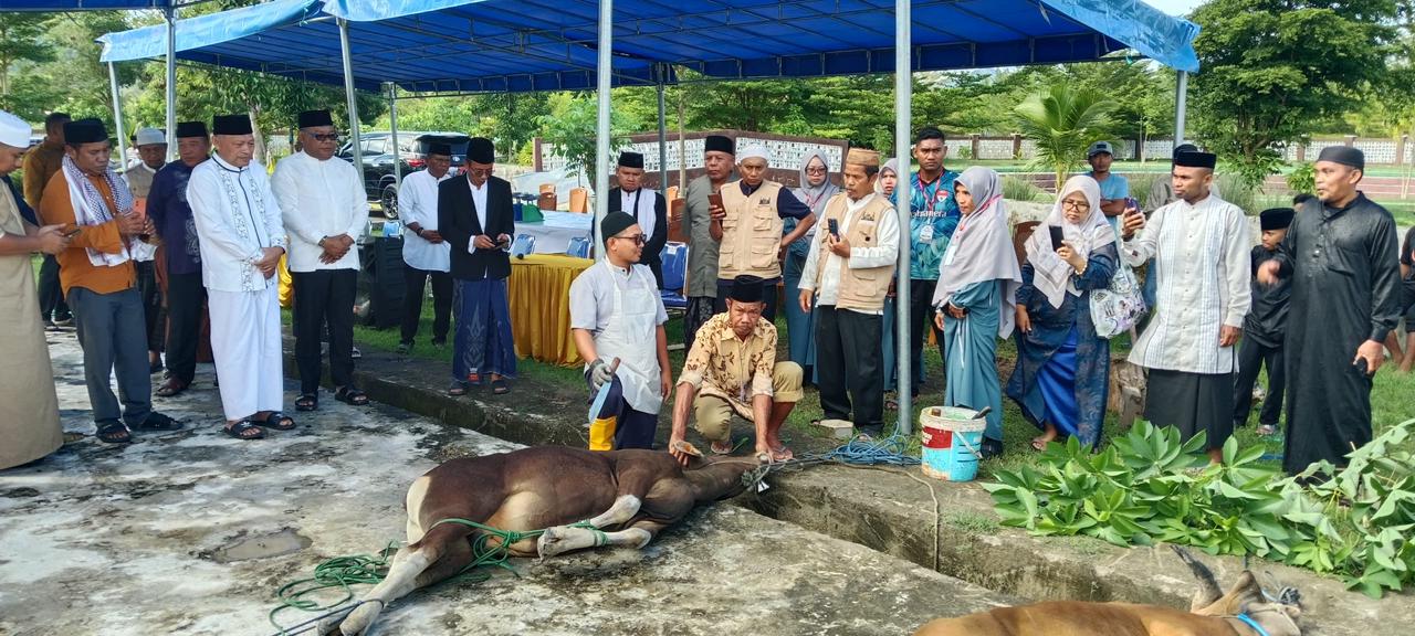Gambar Kedua