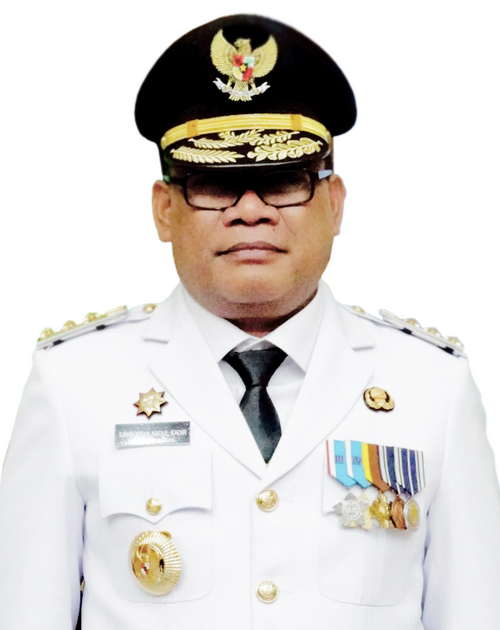 Foto Sekretaris Daerah Provinsi