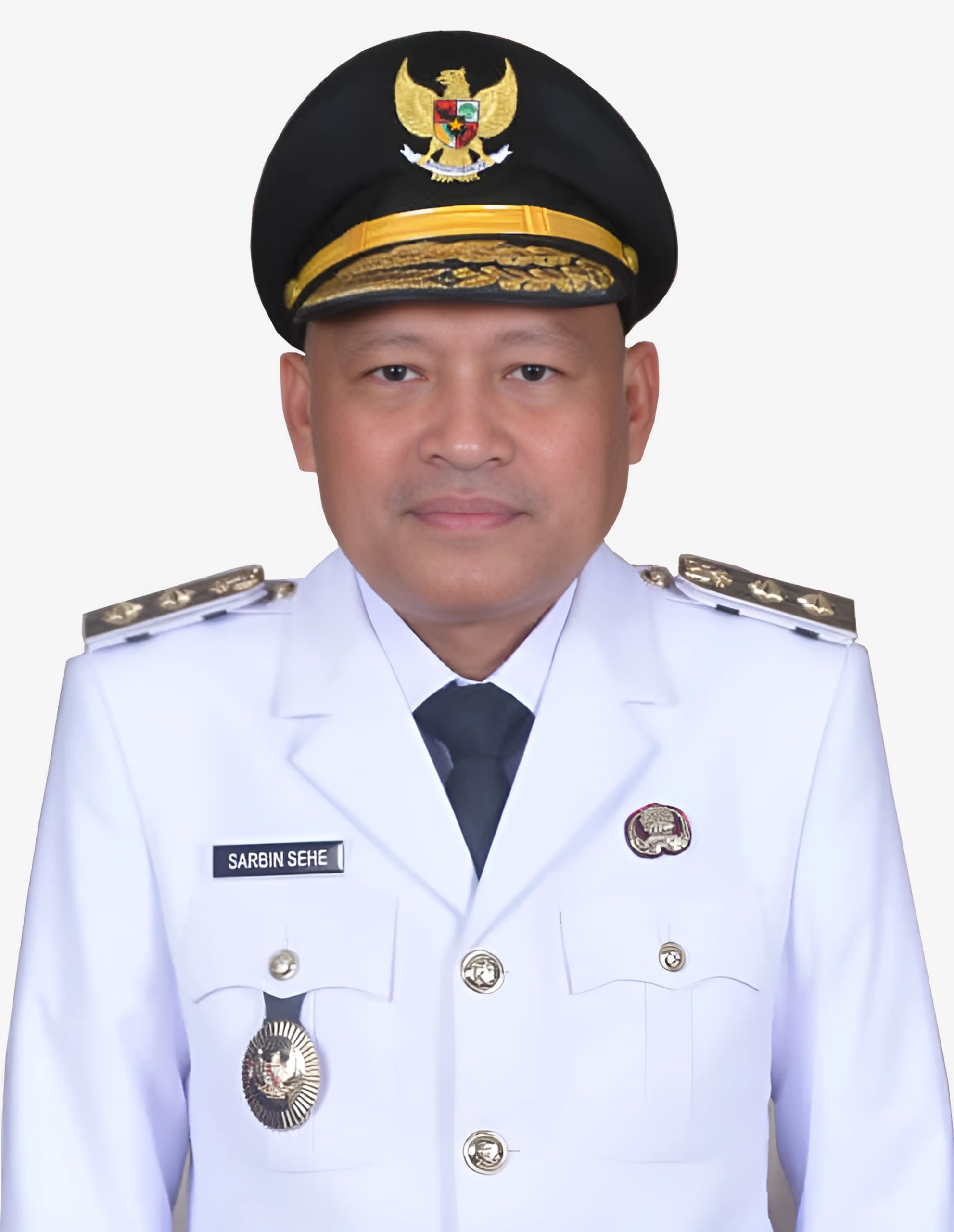 Foto Wakil Gubernur